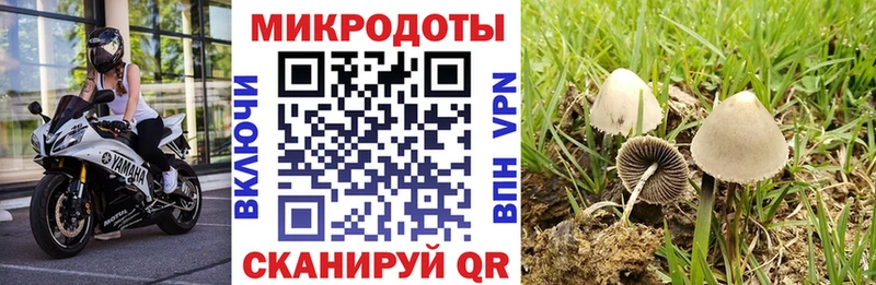 даркнет сайт  Бабаево  Галлюциногенные грибы MAGIC MUSHROOMS 
